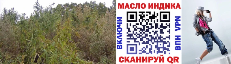 Купить  Райчихинск  ТГК концентрат 